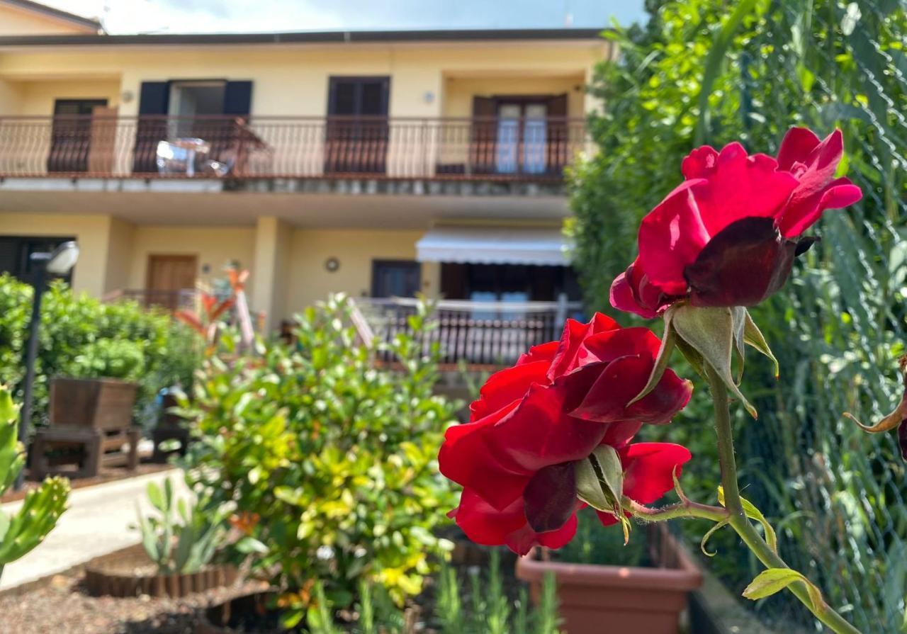 Panoramic Experience Assisi Hh-Free Parking Appartement Buitenkant foto